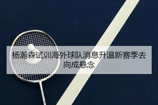 杨瀚森试训海外球队消息升温新赛季去向成悬念 - Kaiyun