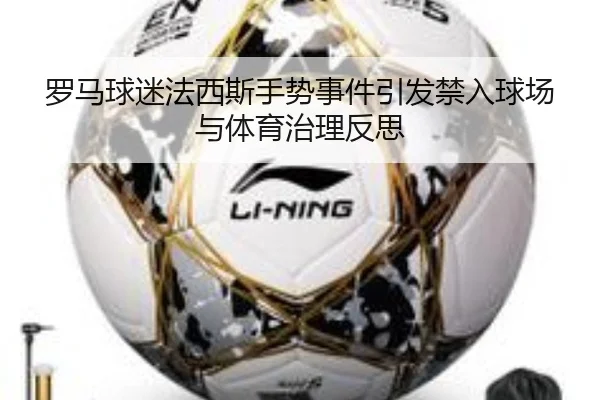 罗马球迷法西斯手势事件引发禁入球场与体育治理反思 | Kaiyun